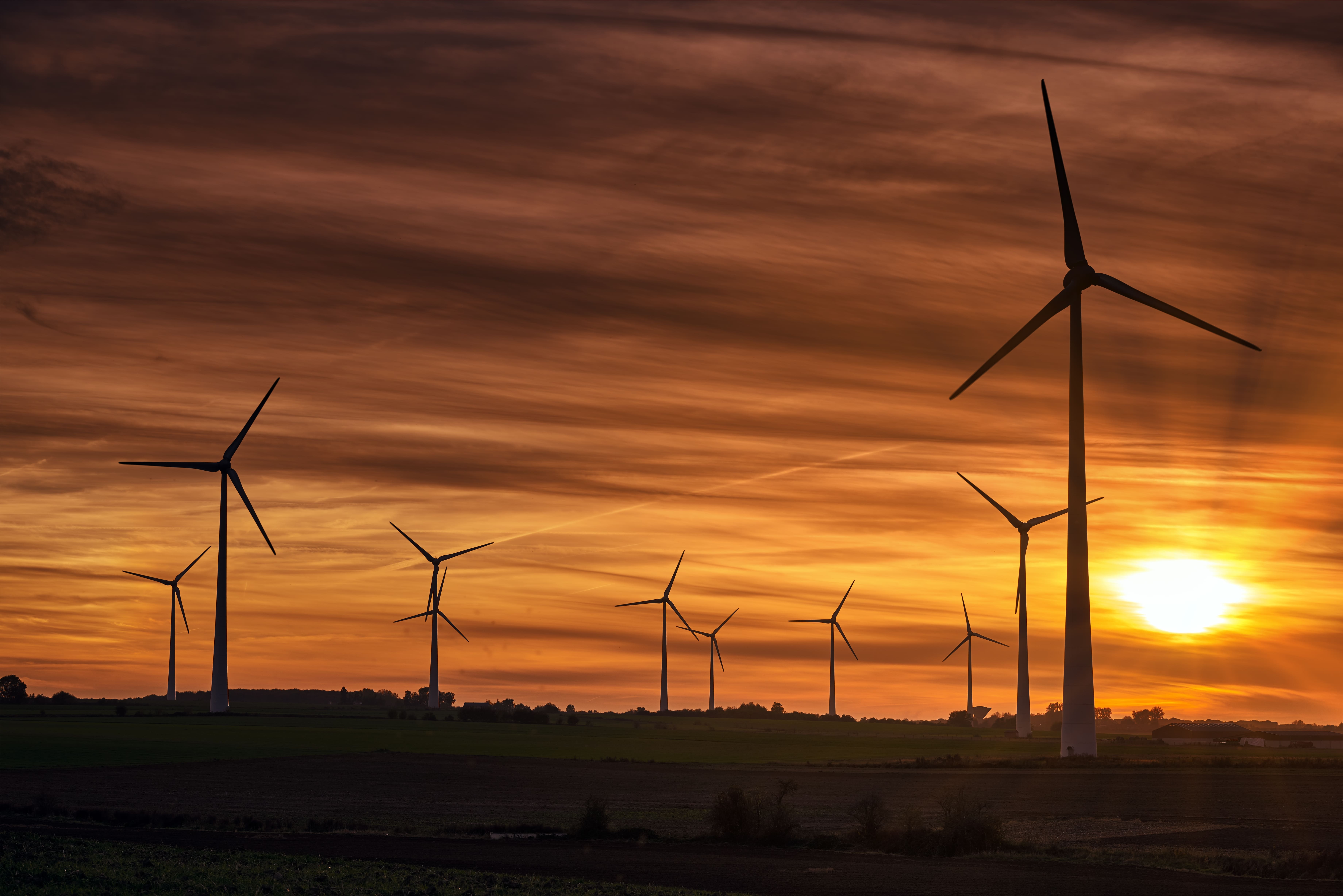Sector Eléctrico